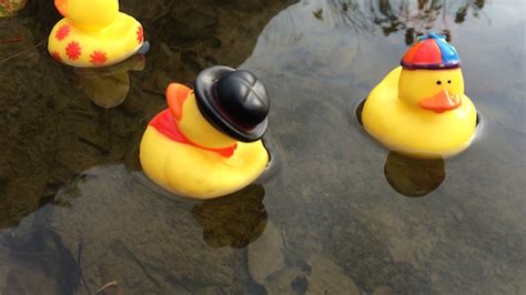 odd duck .